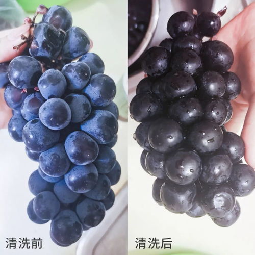 非常時(shí)期不要慌，做好這7道防護(hù)——非離子表面活性劑的安全應(yīng)用指南